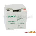 供應威達免維護蓄電池12V24AH 立式 消防聯動報警主機用蓄電池