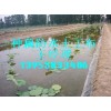 南陽種藕魚池防滲漏專用防水土工布&規格齊全&廠家直銷