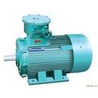 供應(yīng)溫州精宏YBK2-280S-2YBK2隔爆型三相異步電動(dòng)機(jī)電機(jī)防爆電機(jī)
