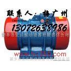 供應中國荷蘭XVMA振動電機 功率 0.75KW電動機 XVM-5-2振動電機