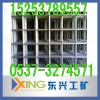 礦用支護網片,金屬網片，網片批發直銷