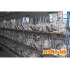 供應(yīng)建華齊全獺兔加工，獺兔加工價(jià)格