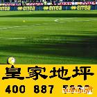 供應透氣透水性優異之【人造草/人造草坪】足球場材料首選|專業人