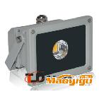 專業生產高品質10W LED投射燈,10W 聚光燈