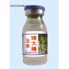 優質高產玉米矮大棒