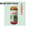 優質高產豆角嫩直長