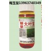 優質高產煙草大葉寶