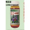 優質高產促花授粉膨果素