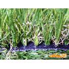 供應(yīng)綠舒坦多種型號(hào)塑料草坪（詳詢：13706172026）