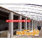 供應興農ay-3吉林鍍鋅管大棚配長春大棚骨架配件
