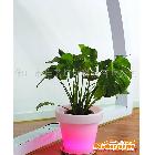 供應唯諾J89普京別墅LED情景裝飾燈/LED發光家具/LED發光花盆