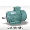 YLJ力矩馬達YLJ112-6-4,YLJ112-10-4