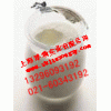 上海廠家直銷高質量低價格乳酸菌質量可靠量大從優