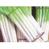 供應優質大蔥粉最新報價，大蔥粉廠家報價，大蔥粉價格