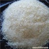 津頌誠信商家熱銷食品級乳糖酶量大從優