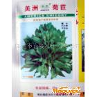 供應 牧草種子 菊苣