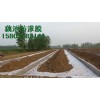 蓮藕種植專用防滲膜河南地區專供