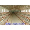 五蓮肉雞籠，五蓮畜牧機(jī)械廠，兔籠，五蓮雞籠哪里買，五蓮雞籠，