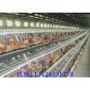 五蓮煜鑫畜牧機(jī)械廠，肉雞籠，兔籠，五蓮雞籠哪里買，五蓮雞籠廠