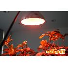 供應 室內(nèi) 溫室 大棚 220V 30W LED  植物生長燈 補光燈