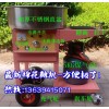 手推車彩色棉花糖機,豪華型小車式棉花糖機,花式棉花糖機