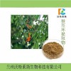 猴耳環提取物 神仙草提取物 廠家直銷1公斤包郵