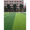 星之健廠家直銷足球場人工草坪幼兒園人工草坪價格
