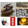 唐桐蛋 咸鴨蛋 唐河特產南陽特產 禮盒裝20枚 鮮蛋68元
