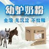 驢駒養的技巧千萬別說你不知道