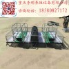 豬床 養殖設備 母豬產床仔豬分娩欄 連體產床