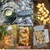 新聞:玉田縣土豆代銷(多圖)_河北秦皇島馬鈴薯批發(歡迎進入