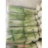 灤南玲瓏黃批發(多圖)-河北玉田包尖白菜代銷
