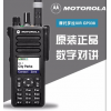 摩托羅拉對講機批發GP328d+防爆對講機